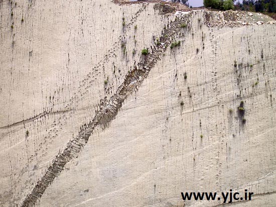 رد پای دایناسورها روی دیوار باستانی +عکس