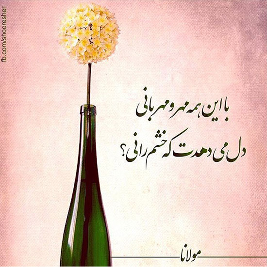 مینی شعر (204)