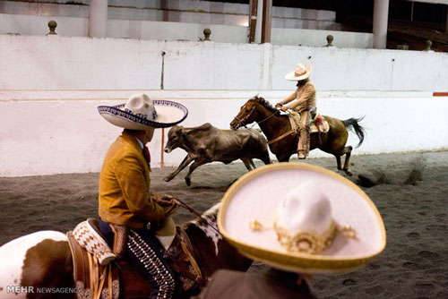 سنت قدیمی و عجیب مکزیکی ها +عکس