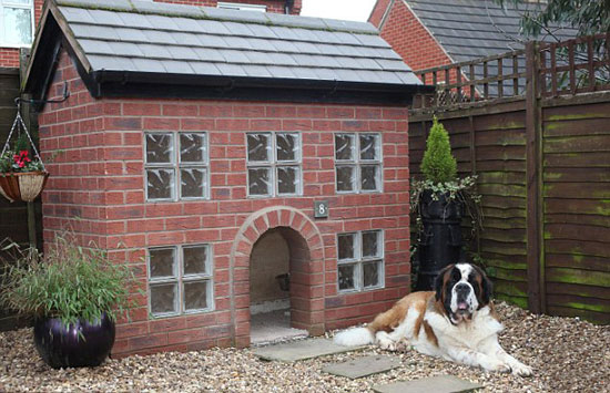 امکانات خانه 1800 پوندی سگ برنارد! +عکس