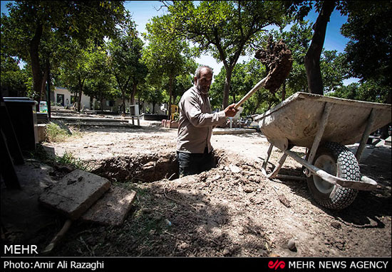 میزبان فردای ما