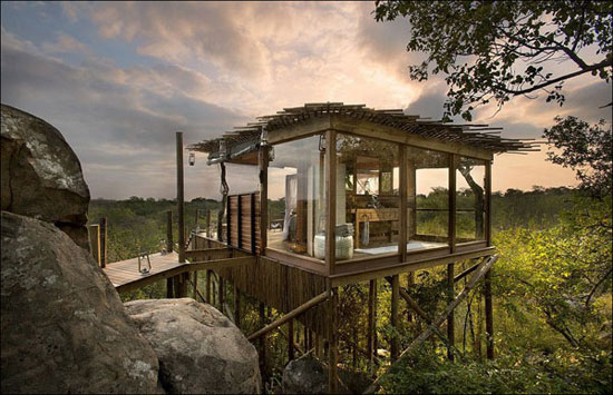 هتل ویلایی درختی در آفریقای جنوبی +عکس