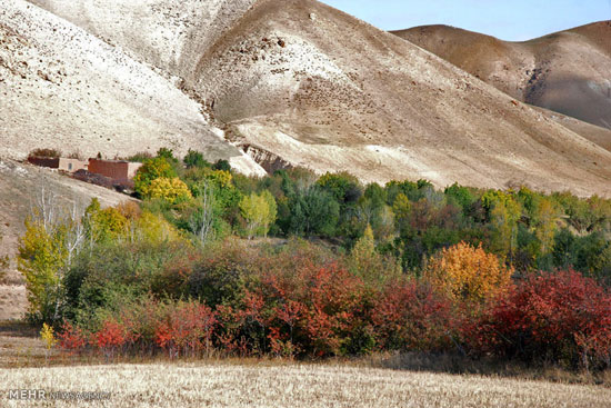 عکس: طبیعت پاییزی ارسباران