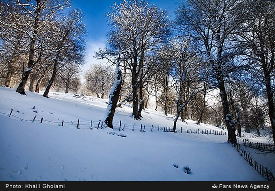 عکس: طبیعت زمستانی جاده خلخال به اسالم