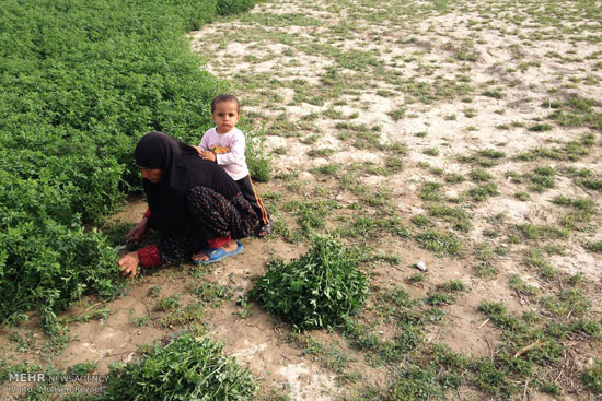 عکس: بزک زندگی با کار زنان