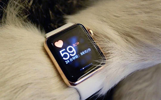 سگِ این آقازاده ساعت اپل می‌بندد! +عکس
