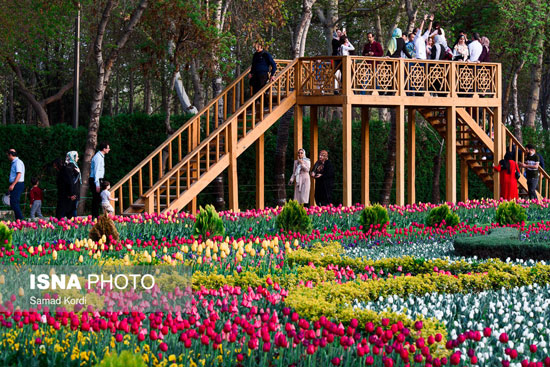 جشنواره زیبای لاله‌ها در کرج