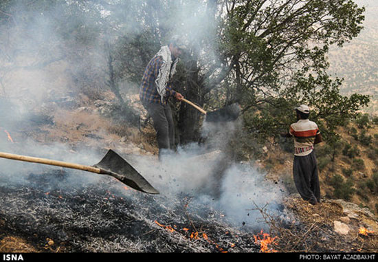 عکس: آتش‌سوزی گسترده در جنگل‌های کوهدشت