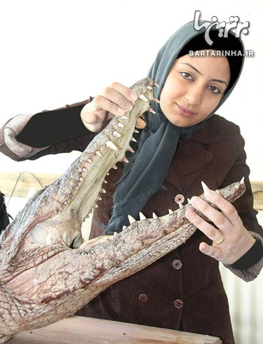 زن موفق ایرانی که کروکودیل پرورش می دهد