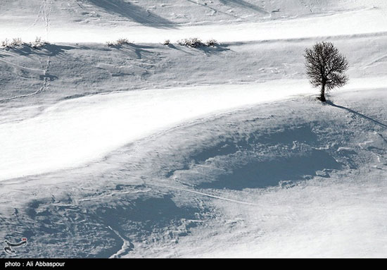 عکس: زیبایی طبیعت زمستانی کلیبر