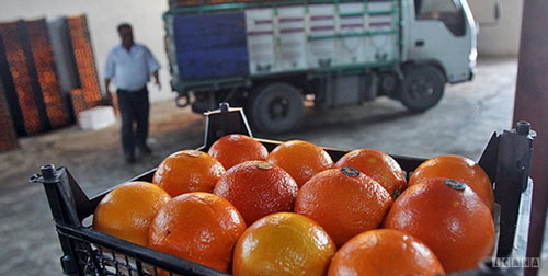 فروش پرتقال‌های رنگ‌شده در بازار