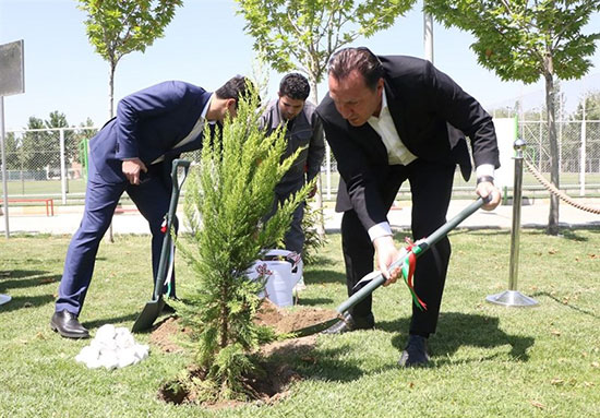 درختکاری ویلموتس در اولین حضور در ایران