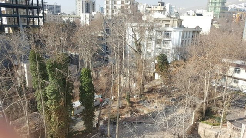 قطع درختان تهران از کجا آب می خورد؟
