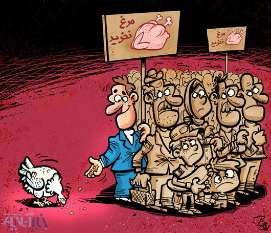 کارتون: کمپین نخریدن مرغ!