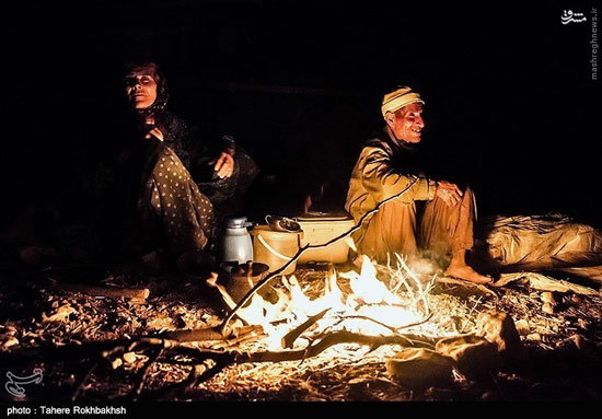 عکس: کوچ بهاری عشایر فارس