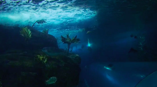 دِرون ضدآب مخصوص فیلم برداری از اعماق دریا