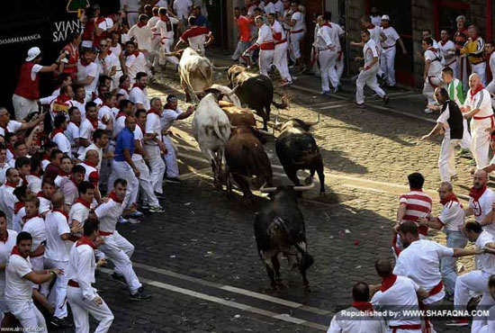 عکس: جشنواره سالانه گاوبازی در اسپانیا