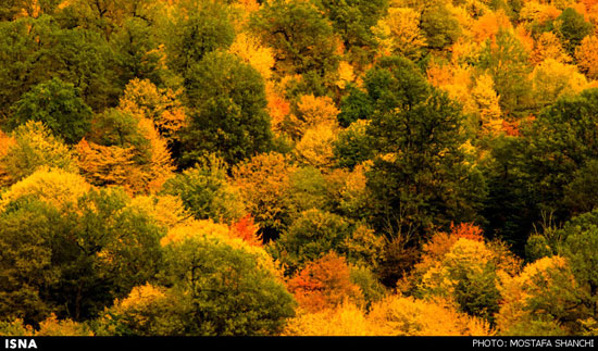 تصاویری از طبیعت پاییزی مازندران