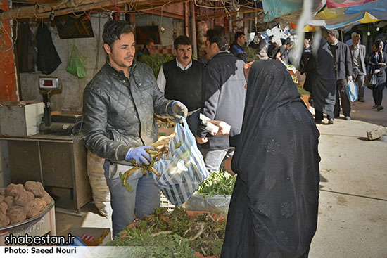 خرید و فروش گیاهان کوهی در ارومیه +عکس