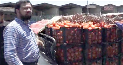 تفاوت ۷۰برابری قیمت گوجه داخل با خارج!