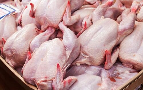 قیمت مرغ به کانال ۱۸هزار تومان بازگشت