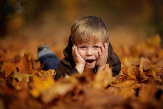 تصاویر: صدای پاییز طلایی و زیبایی هایش