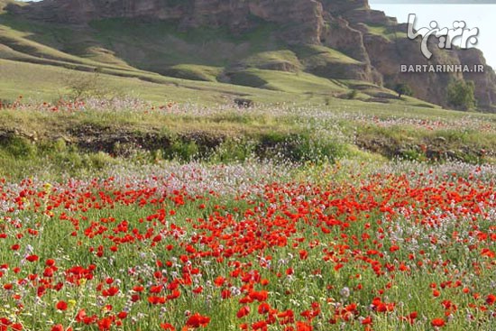 پامنار؛ مأمنی برای حافظان طبیعت