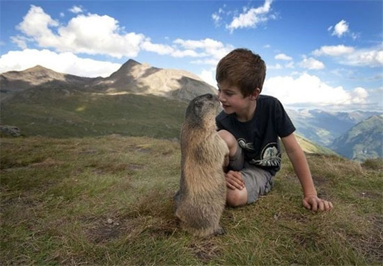 دوستی جالب سنجاب‌ها با پسربچه +عکس