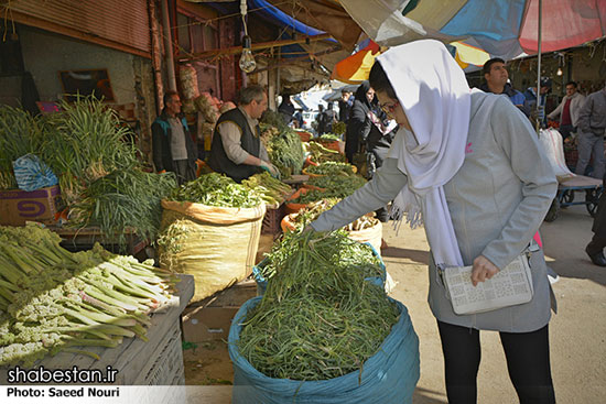 خرید و فروش گیاهان کوهی در ارومیه +عکس