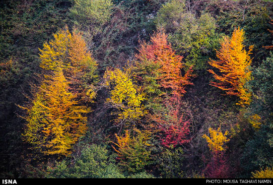 عکس: طبیعت پاییزی گردنه حیران