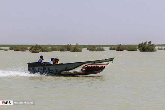 حالِ خوبِ «هامون»