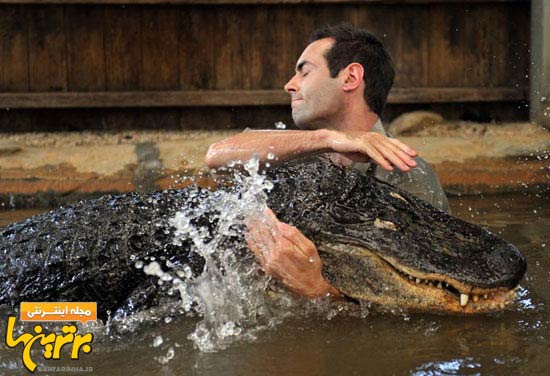 جوان استرالیایی عاشق تمساح ها! + عکس