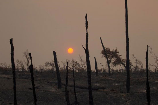 آتشی که ۱۰۰ هزار هکتار از کالیفرنیا را خاکستر کرد