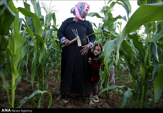 عکس: کشاورزی زنان سومالی