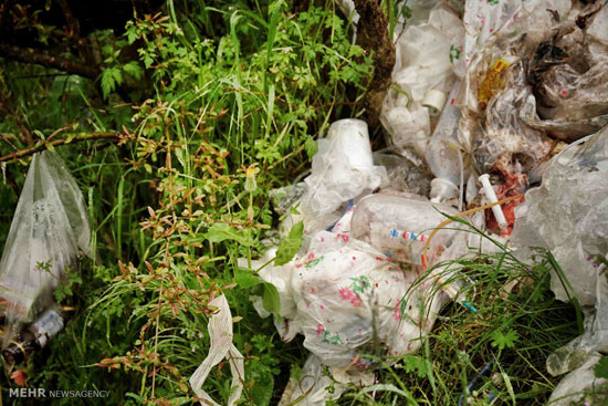 تصاویری از فاجعه رهاسازی زباله‌ های عفونی
