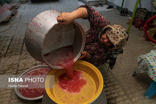 برداشت و پخت رب انار در باغات دهستان یساقی