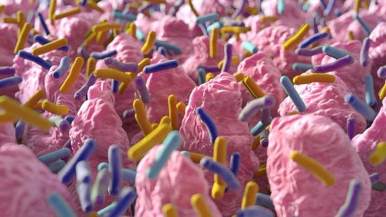 99 درصد از میکروب‌های بدن هنوز ناشناخته‌اند!