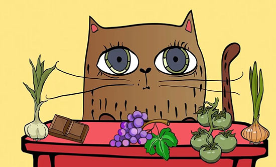 ۲۵ حقیقت جالب درباره گربه‌ها