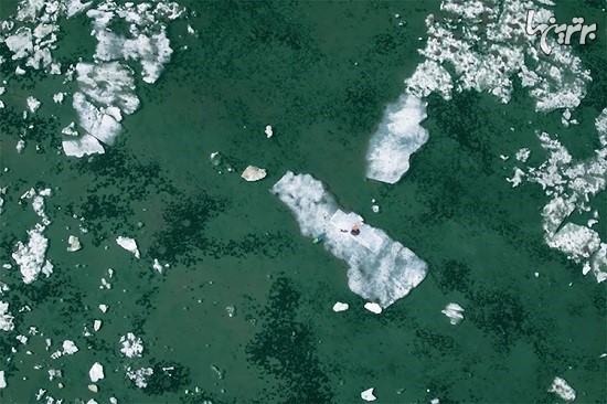 پرتره های فراموش نشدنی روی یخ های قطب شمال کانادایی