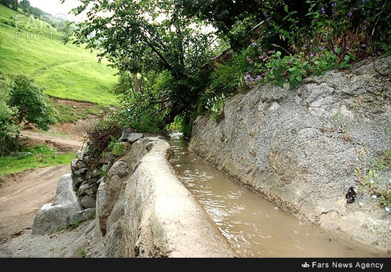 عکس: طبیعت زیبای روستای زیریان