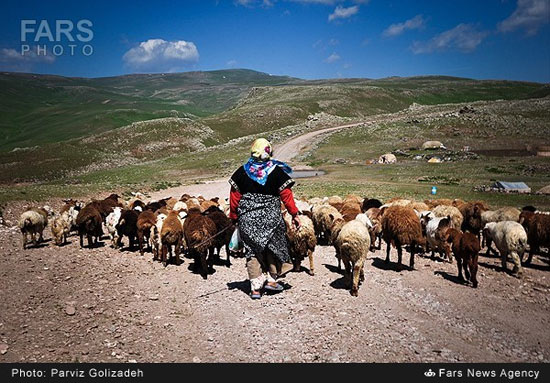 عکس: طبیعت بهشتی ارسباران