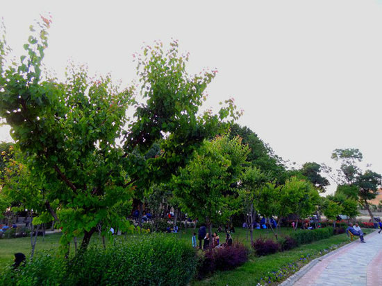 منحصر به فردترین تکیه باغ های ایرانی در بروجرد