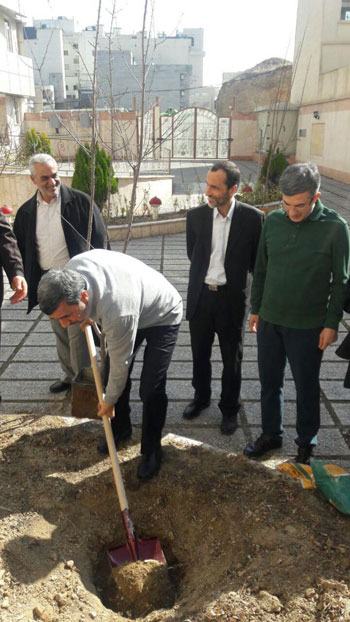 کاشت نهال توسط احمدی‌نژاد، بقایی و مشایی