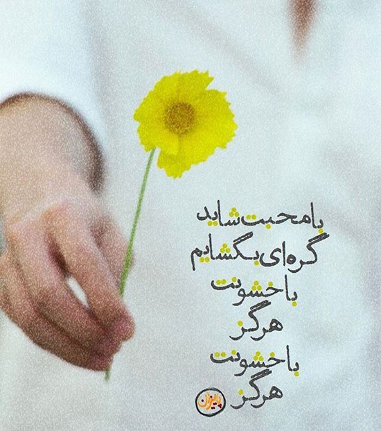 مینی شعر (292)