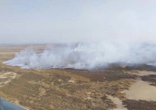 آتش سوزى در بخش عراقى هورالعظیم