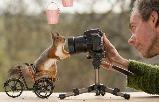 سنجاب هایی که دست به دوربین عکاس خود برده اند