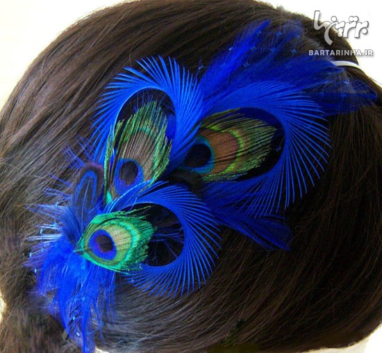 با پر طاووس خود را شیک و زیبا کنید +عکس