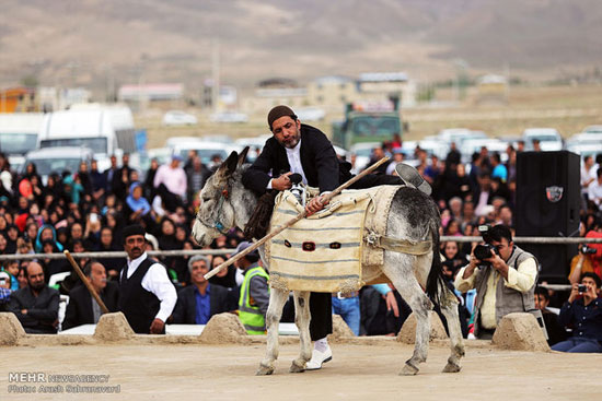 آئین سنتی پهلوانی بیل گردانی