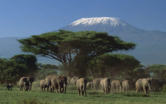 زیباترین و شگفت‌انگیزترین مکان‌های قاره‌ی آفریقا
