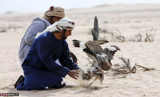 عکس: تفریح لوکس در صحرای امارات